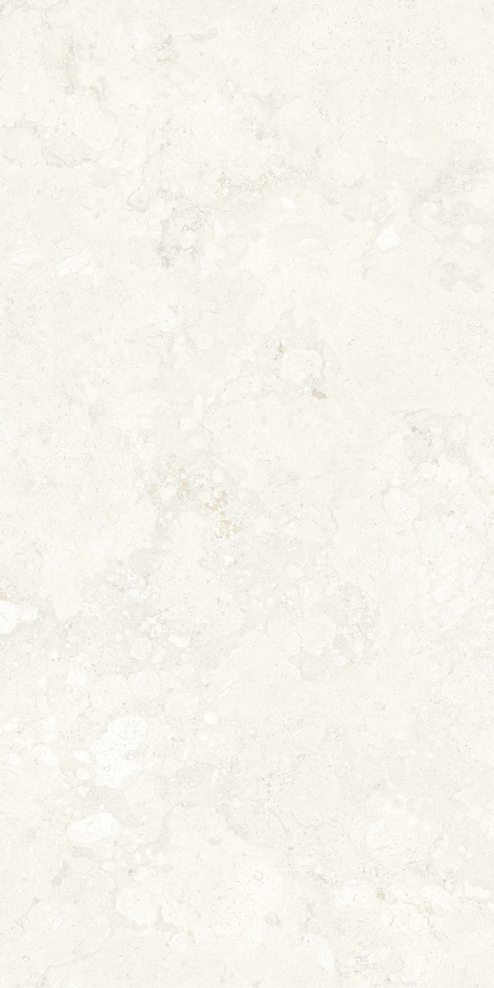 GIANIA FOSSIL — White+Beige