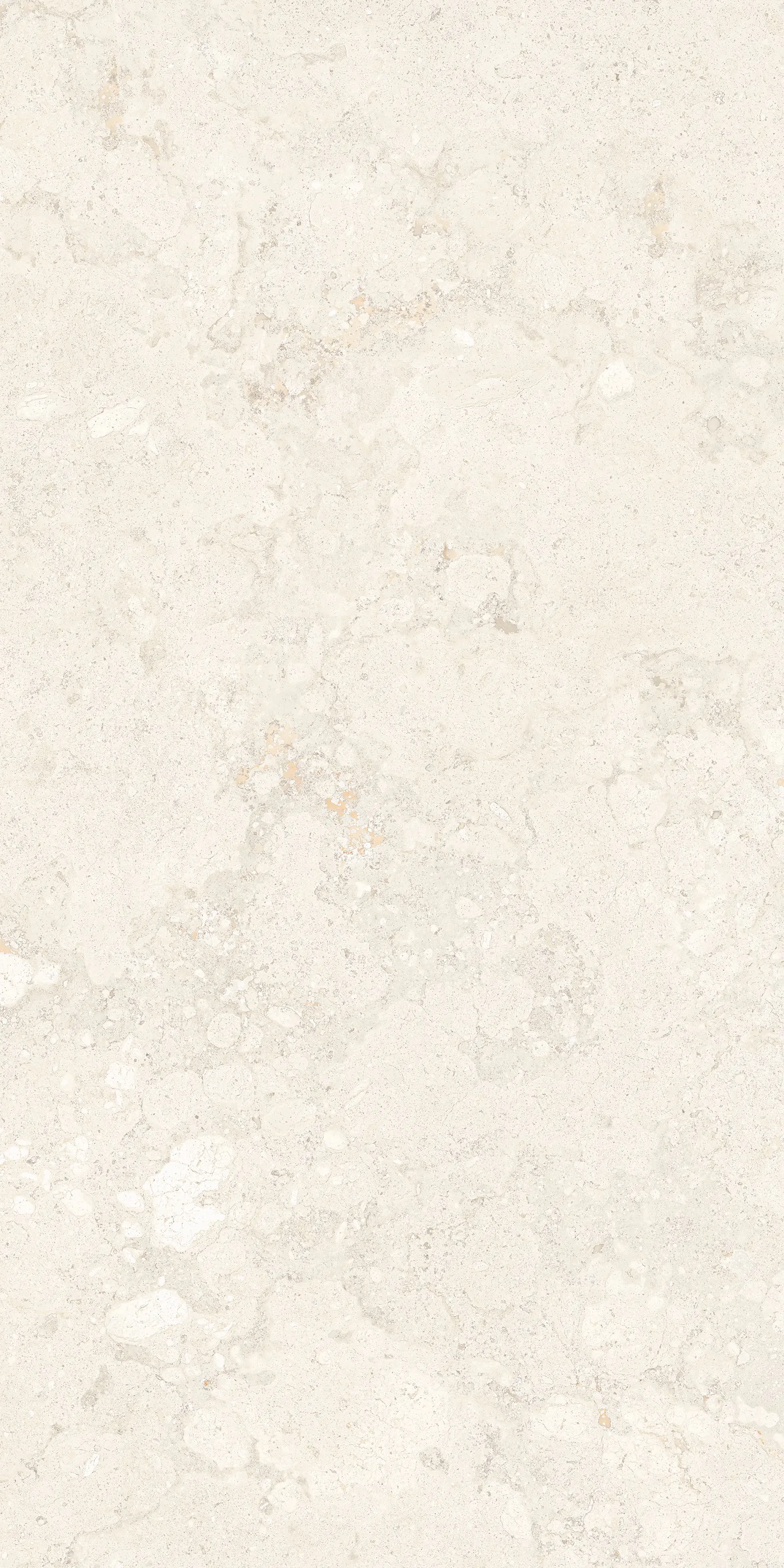 FOSSIL