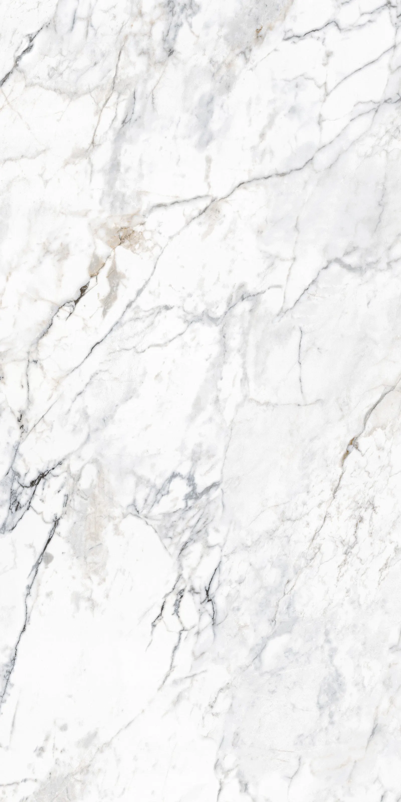 GIANIA ICE JADEITE — White