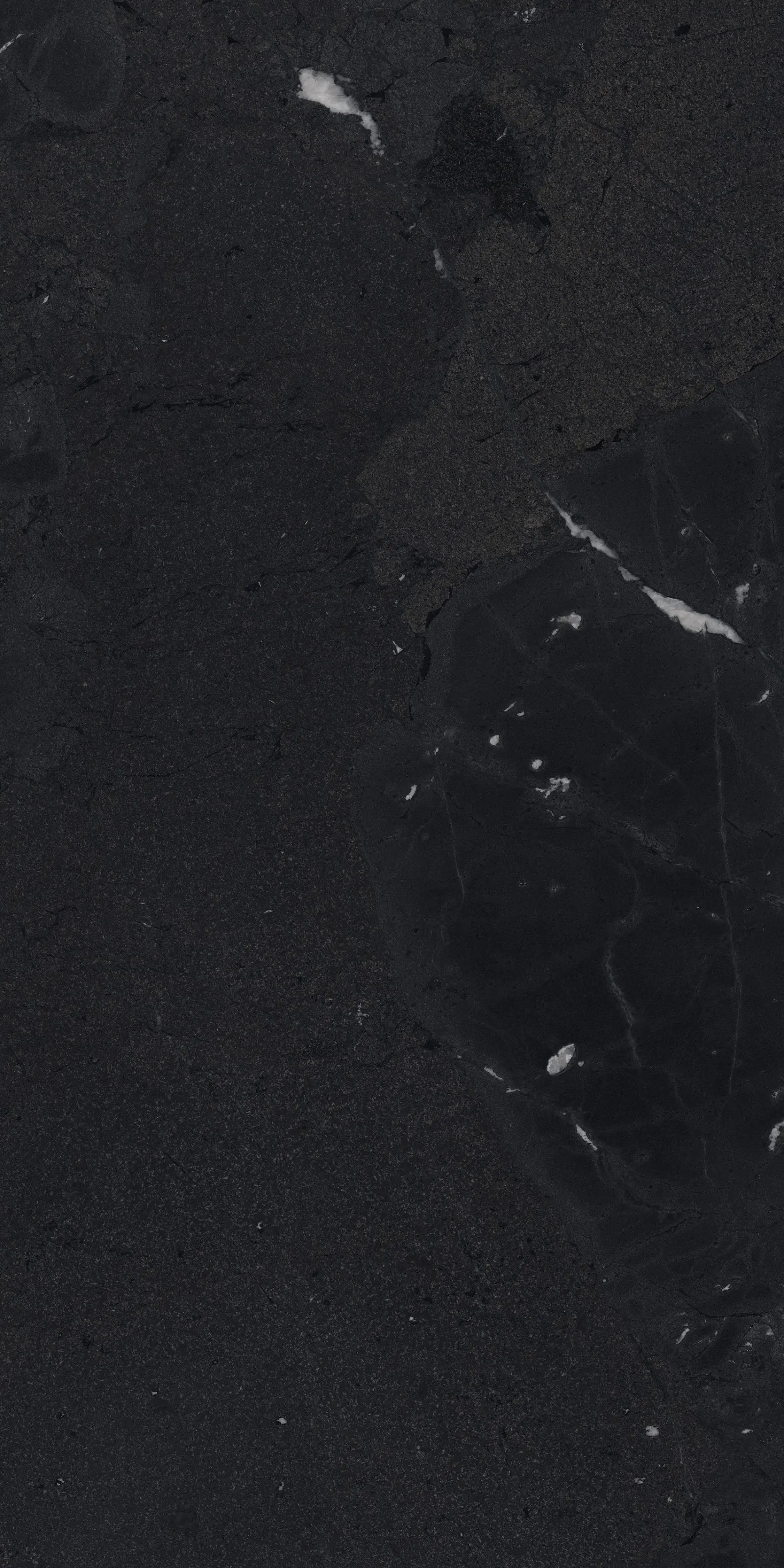 GIANIA VERSACE BLACK — Black