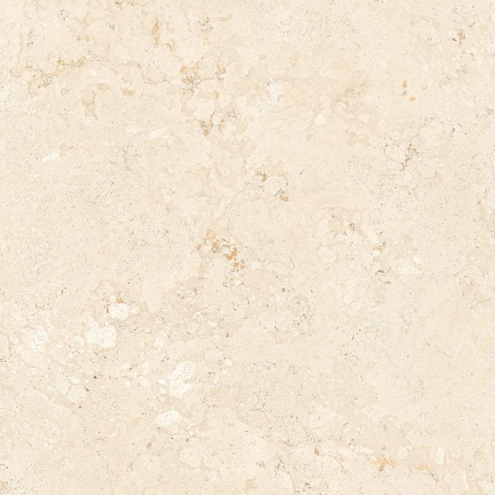 FOSSIL