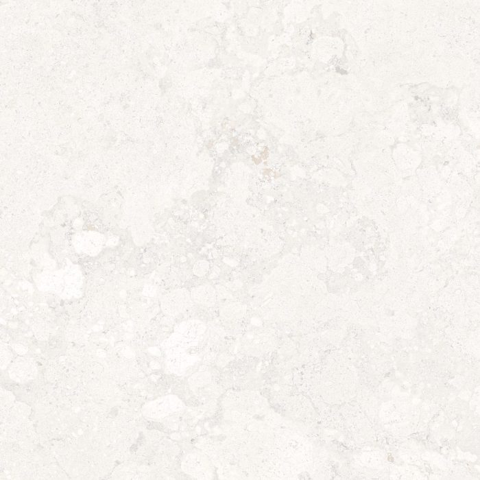 FOSSIL