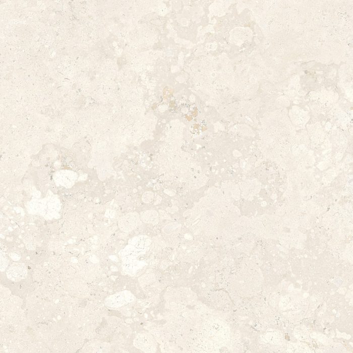 FOSSIL