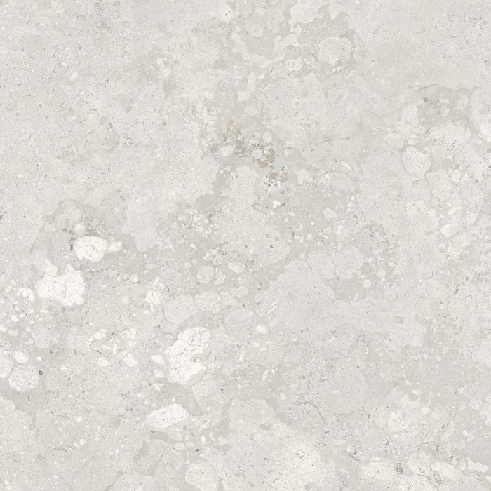 FOSSIL