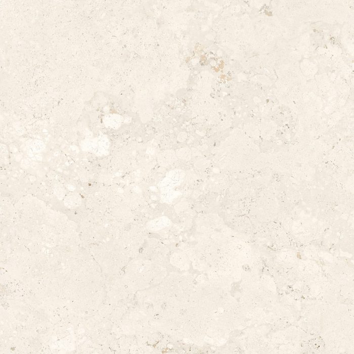 FOSSIL