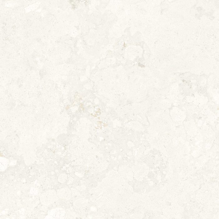 FOSSIL