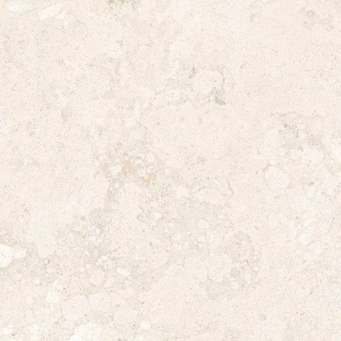 FOSSIL