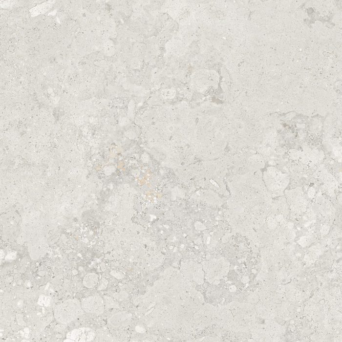 FOSSIL