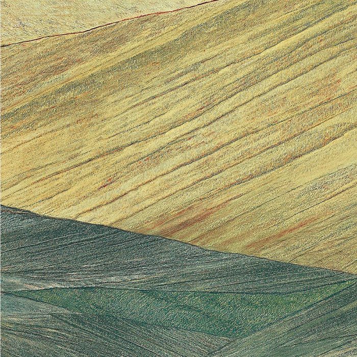 VERDE LAPPONIA